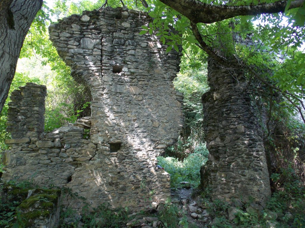 აგვისტოს ერთდღიანი ტური პანკისის ხეობაში