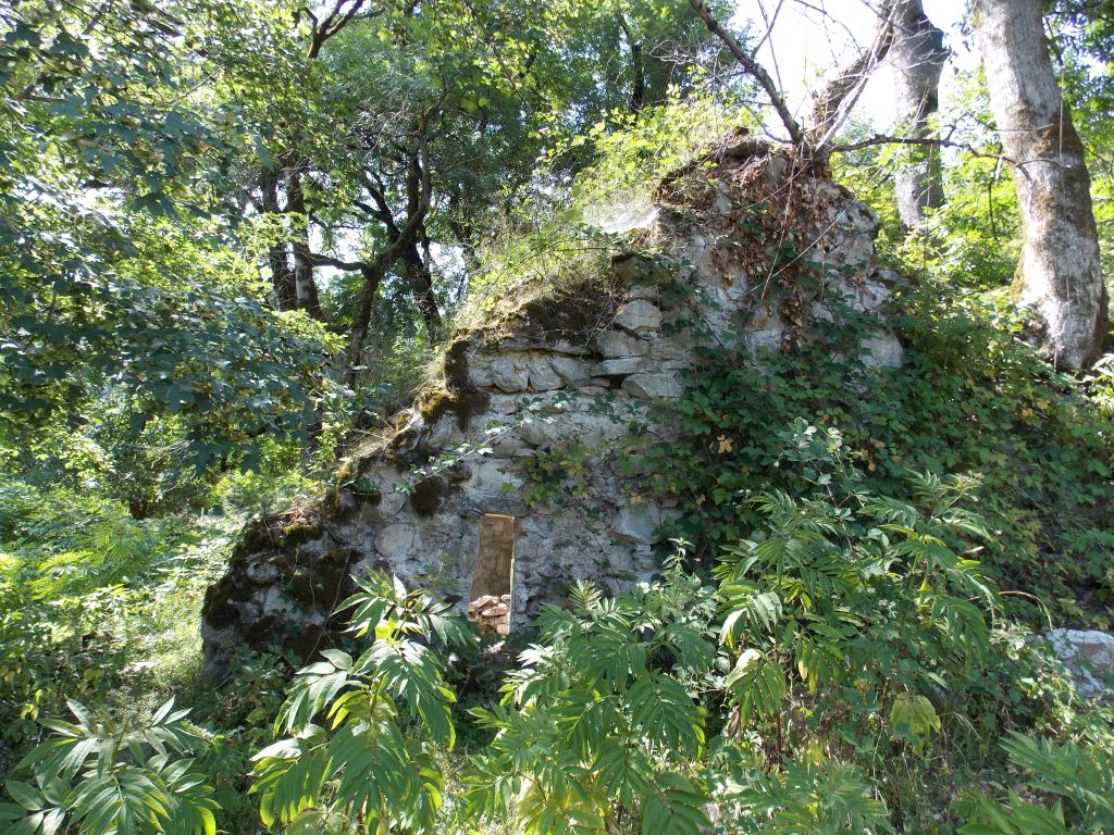 აგვისტოს ერთდღიანი ტური პანკისის ხეობაში