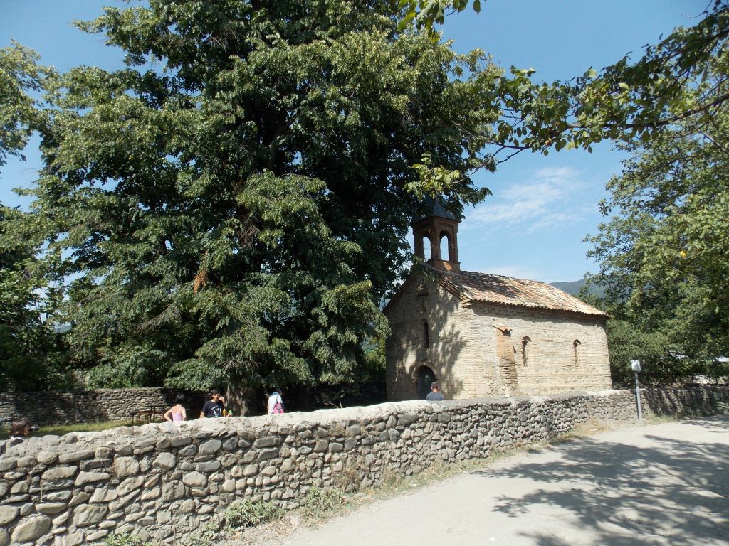 აგვისტოს ერთდღიანი ტური პანკისის ხეობაში