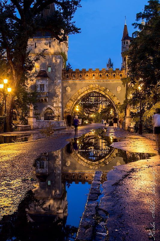 ვენა - ბუდაპეშტი - პრაღა