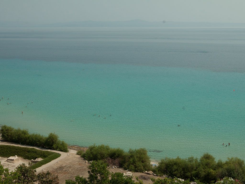 ჰალკიდიკი