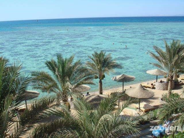 ჰურგადა,,,აქცია!!!!