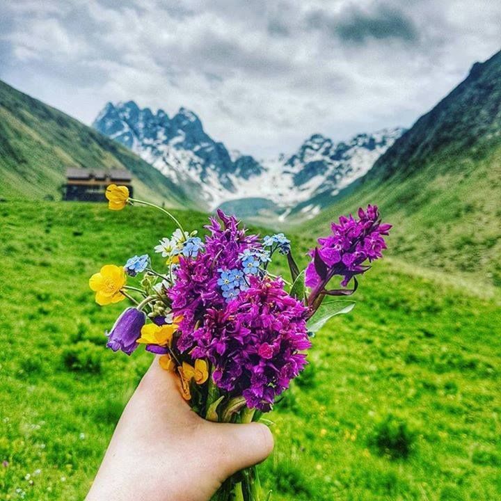 ულამაზესი ჯუთა 