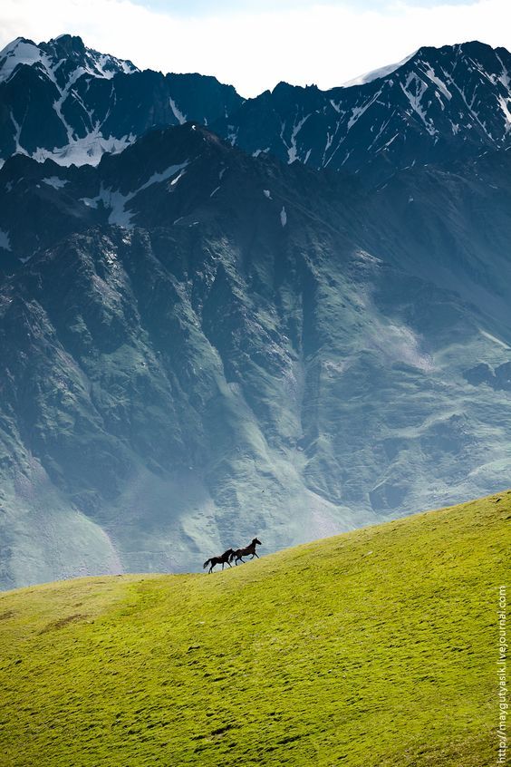 აღმოაჩინე საქართველო, გახსენი გვერდი!