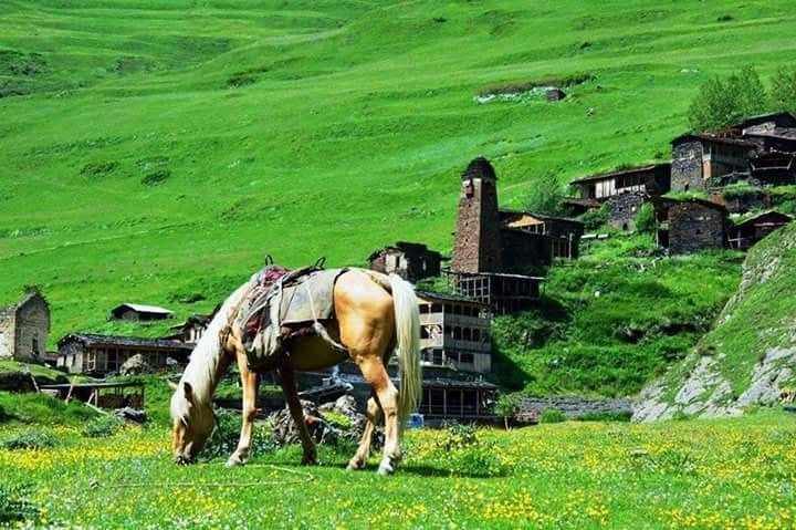 თუშეთი - -- აგვისტოს <