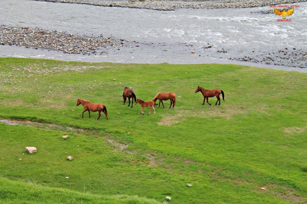 ტური თრუსოს ხეობაში ( აგვისტო, კვირა)