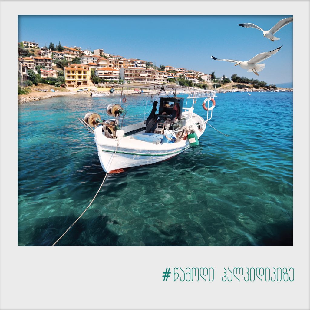 #წამოდი ჰალკიდიკზე