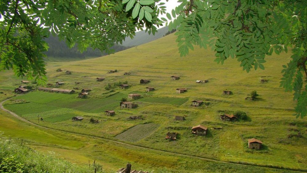 დღიანი ტური თუშეთში --