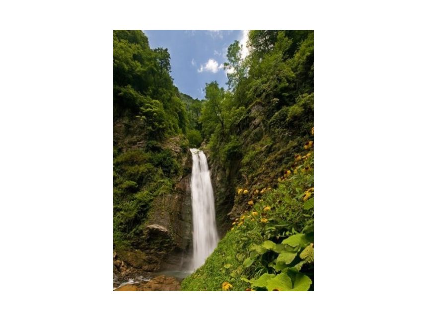 ლაგოდეხის ნაკრძალი-სიღნაღი - ;