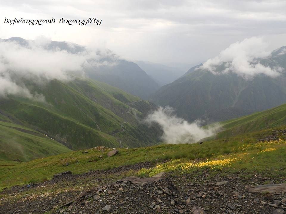 თუშეთი დღიანი ტური - აგვისტო. - სექტემბერი