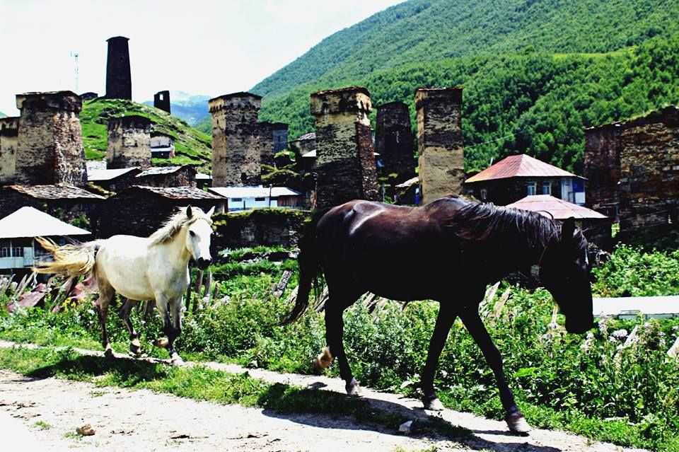 day tour in Svaneti