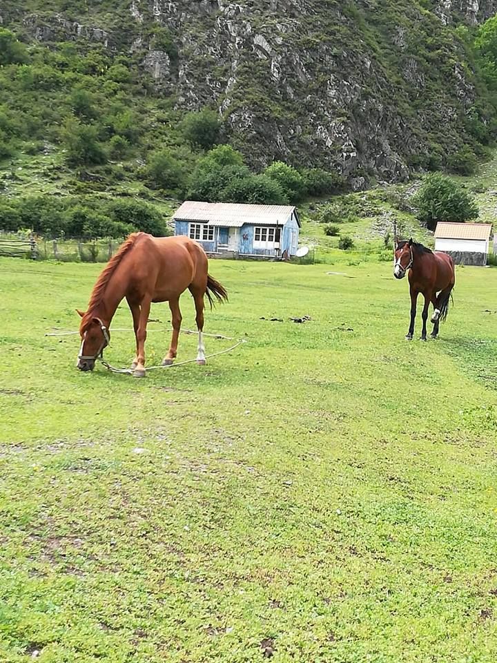 შატილი + მუცო კვირას სექტემბერს)