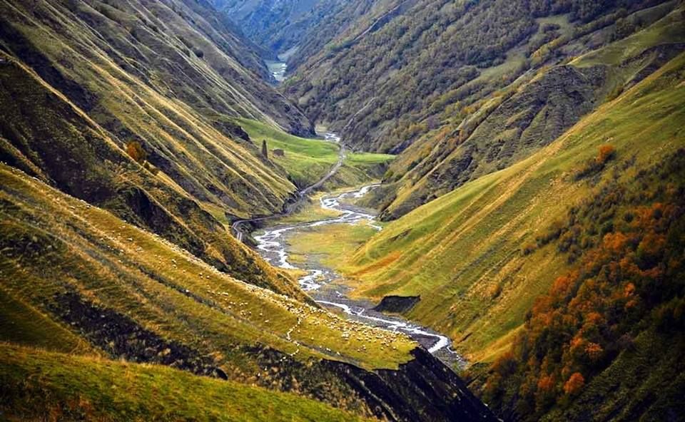 აქცია ! შატილ-მუცო ლ ა რ ად ! ! ! ყველაზე დაბალ ფასად ! სასწრაფოდ ! დარეკეთ ახლა !