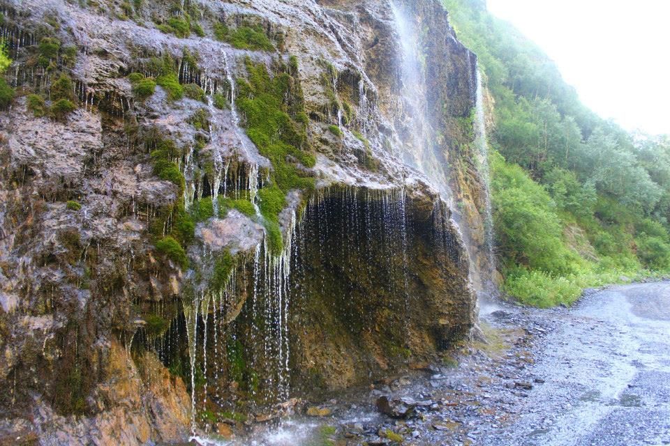 აქცია ! შატილ-მუცო ლ ა რ ად ! ! ! ყველაზე დაბალ ფასად ! სასწრაფოდ ! დარეკეთ ახლა !