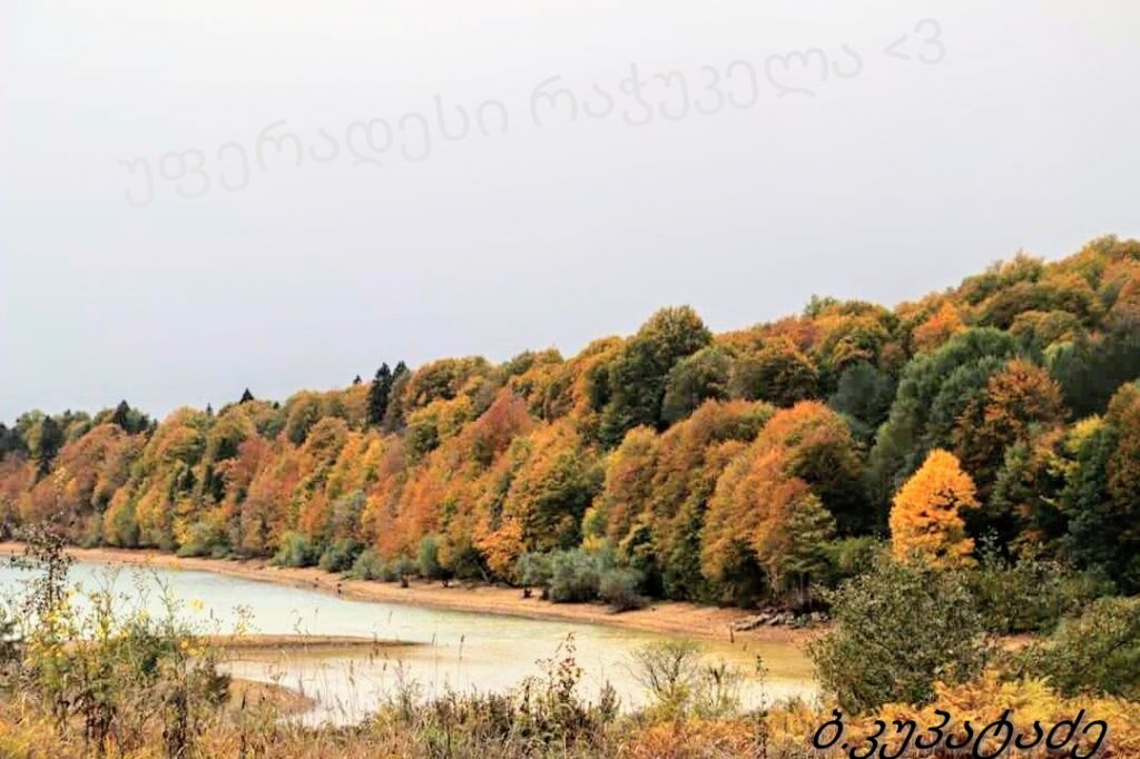 ფერადი რაჭა < გელით ყველას <