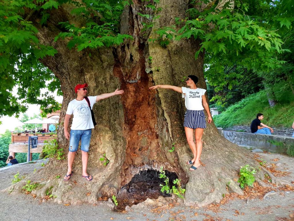ანანური-გუდაური-ყაზბეგი.
