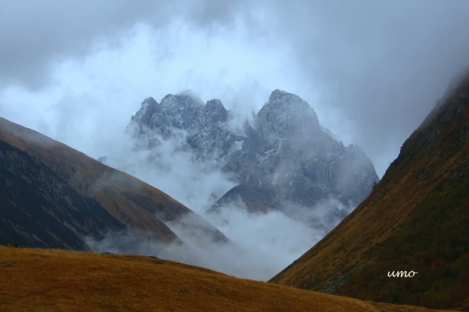 ჯუთა ჭაუხები