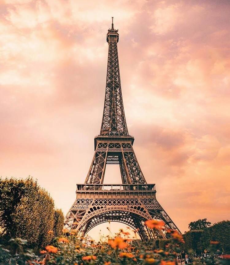 პარიზი / ლუარას სასახლეები / ბურჟი / ლიონი / დიჟონი / კოლმარი / რეიმსი -