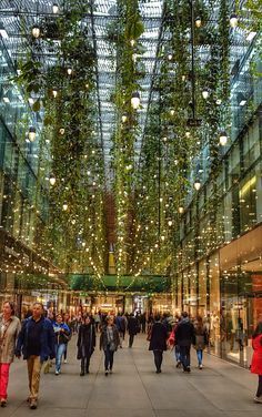 მიუნხენი