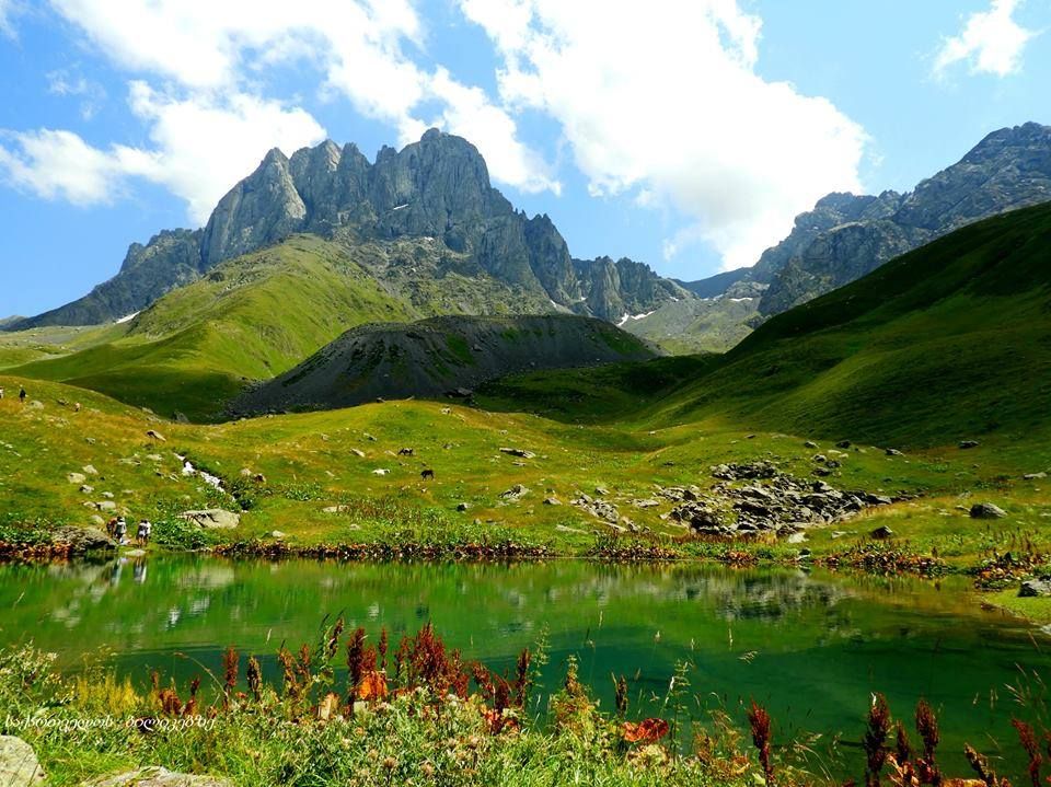 ჯუთა - ჭიუხები (წლის ბოლო ტური)