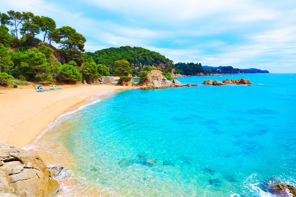 ⭐აქცია!!! კოსტა ბრავა !!!