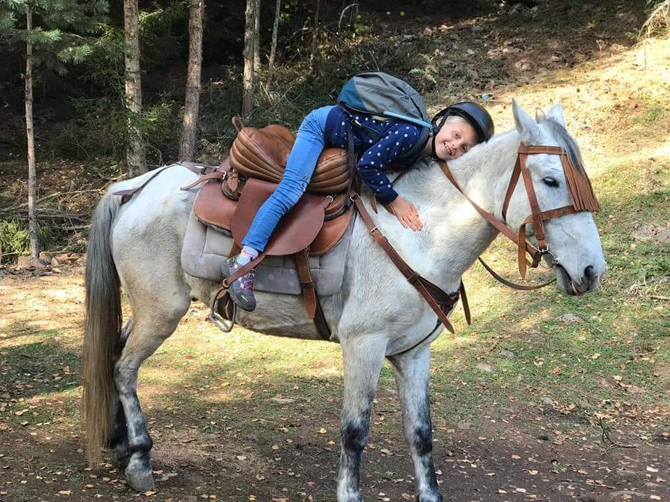 Конные туры боржоми