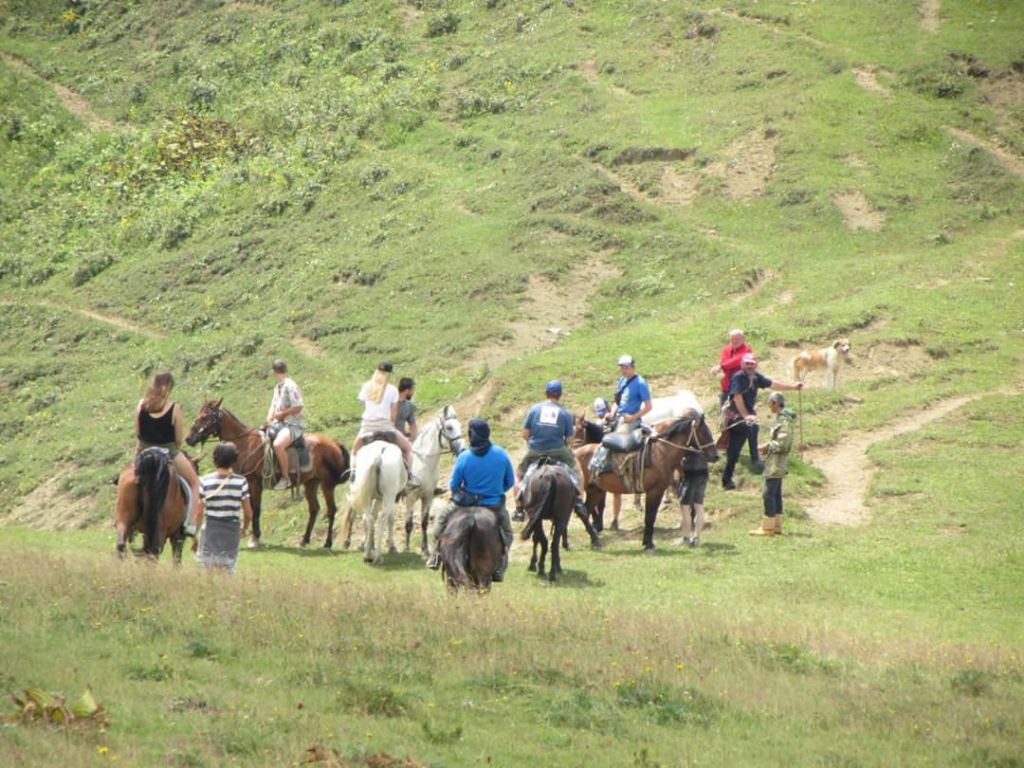 ცხენი,საცხენოსნო ტურები ბორჯომში