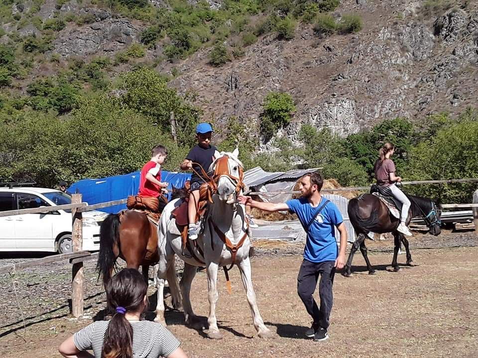 ცხენი,საცხენოსნო ტურები ბორჯომში