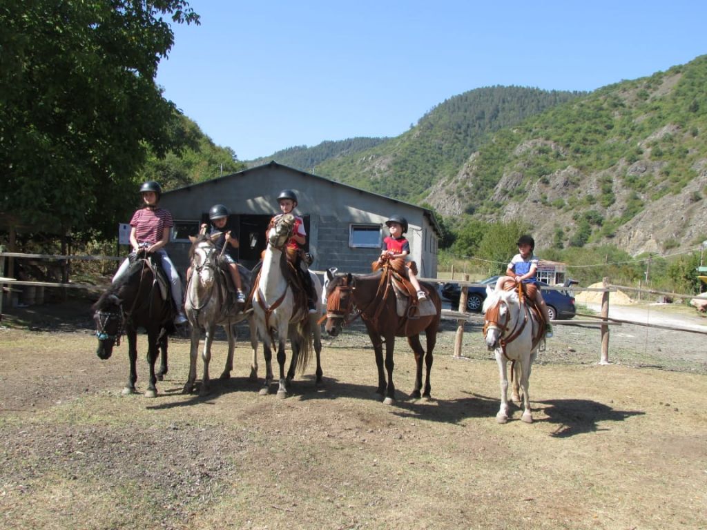 ცხენი,საცხენოსნო ტურები ბორჯომში