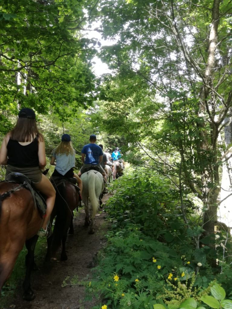 Конные туры боржоми