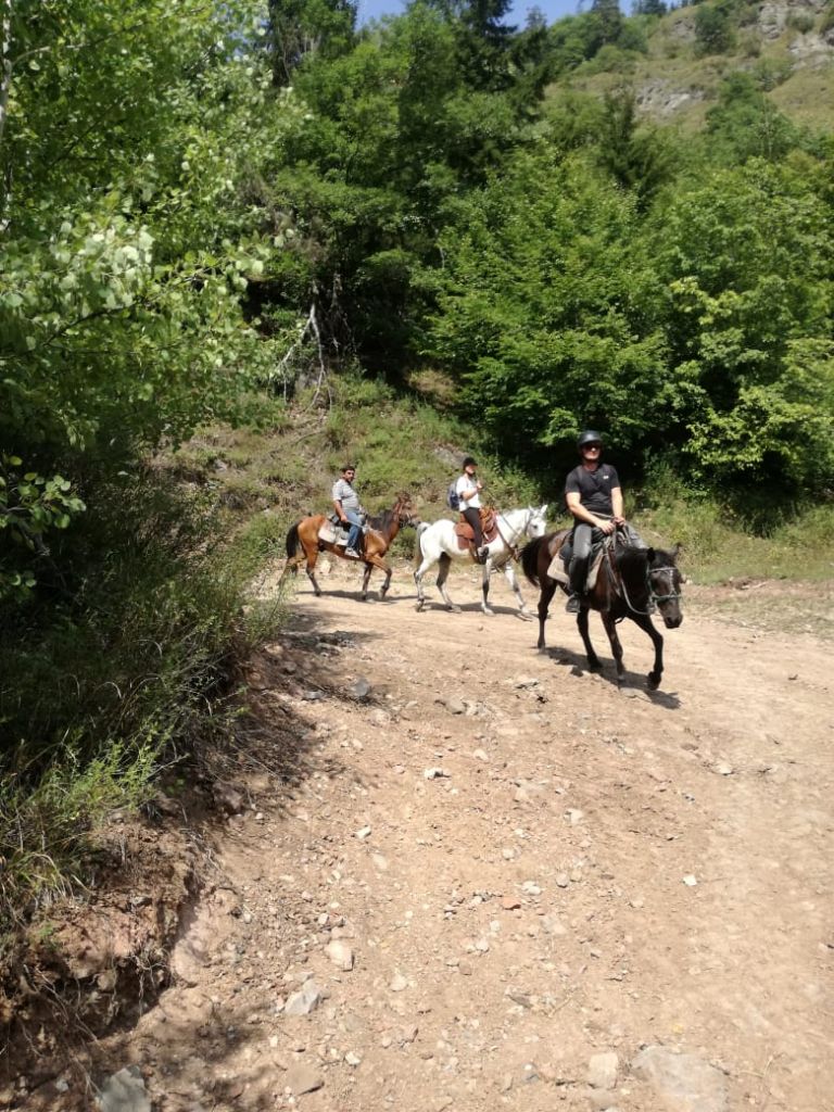 ცხენი,საცხენოსნო ტურები ბორჯომში