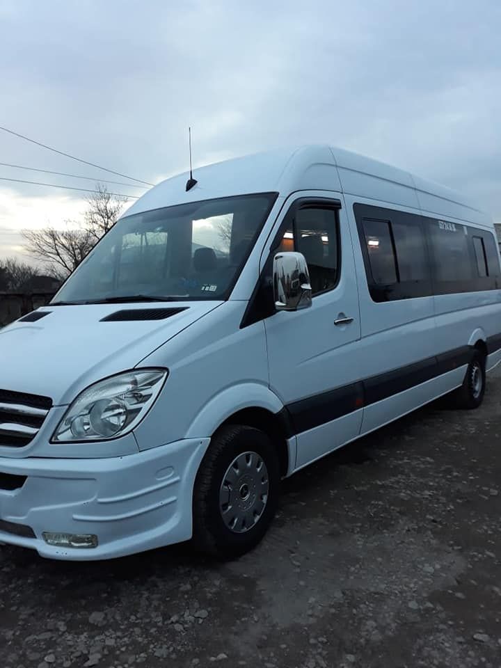 რთველი კახეთში  სექტემბერს