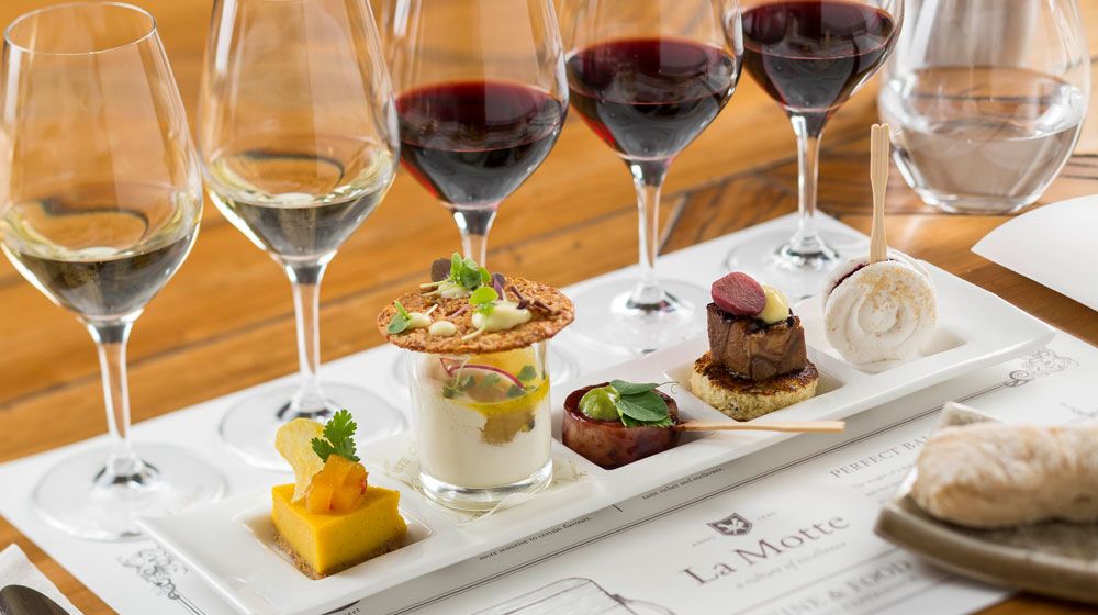 რთველი კახეთში  სექტემბერს