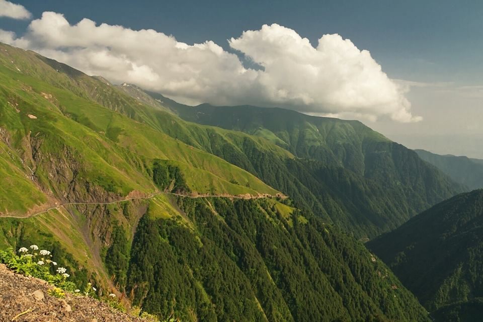 თუშეთის  დღიანი ტური