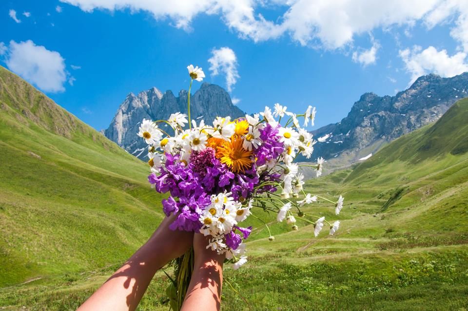 ირბისი- ჯუთა სექტემბერს (კვირა)