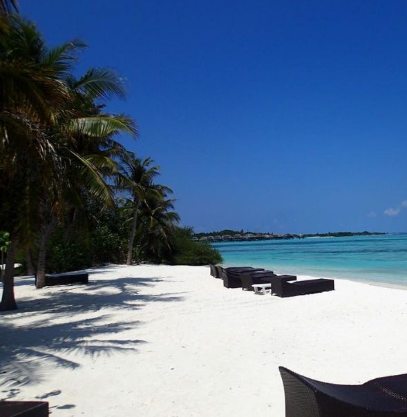 იწყება ბლოკ-პაკეტების გაყიდვა სამოთხეში, ანუ მალდივის კუნძულებზე. თამამად შეცვალეთ მიმართულებები.