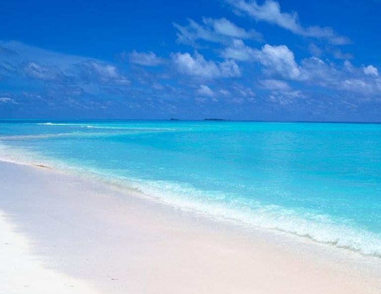 იწყება ბლოკ-პაკეტების გაყიდვა სამოთხეში, ანუ მალდივის კუნძულებზე. თამამად შეცვალეთ მიმართულებები.