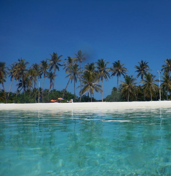 იწყება ბლოკ-პაკეტების გაყიდვა სამოთხეში, ანუ მალდივის კუნძულებზე. თამამად შეცვალეთ მიმართულებები.