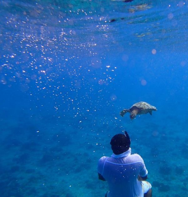 იწყება ბლოკ-პაკეტების გაყიდვა სამოთხეში, ანუ მალდივის კუნძულებზე. თამამად შეცვალეთ მიმართულებები.