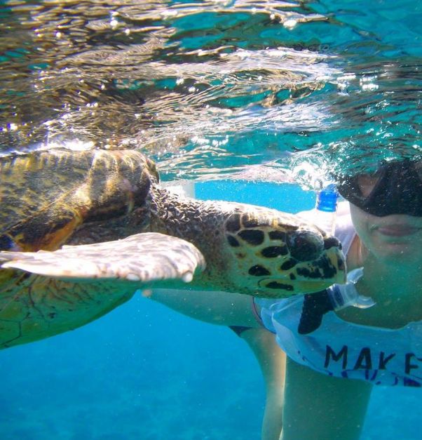 იწყება ბლოკ-პაკეტების გაყიდვა სამოთხეში, ანუ მალდივის კუნძულებზე. თამამად შეცვალეთ მიმართულებები.