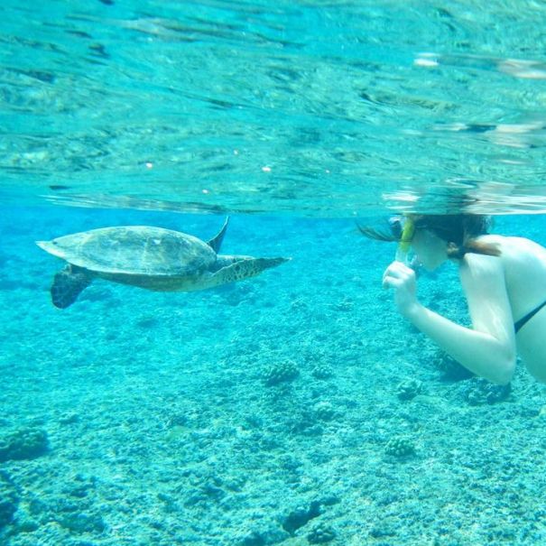 იწყება ბლოკ-პაკეტების გაყიდვა სამოთხეში, ანუ მალდივის კუნძულებზე. თამამად შეცვალეთ მიმართულებები.