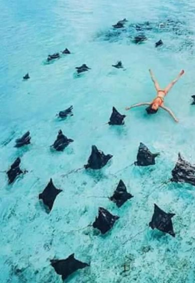 იწყება ბლოკ-პაკეტების გაყიდვა სამოთხეში, ანუ მალდივის კუნძულებზე. თამამად შეცვალეთ მიმართულებები.