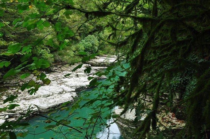 ნოქალაქევი, თეკლათი, მენჯი, ხობი