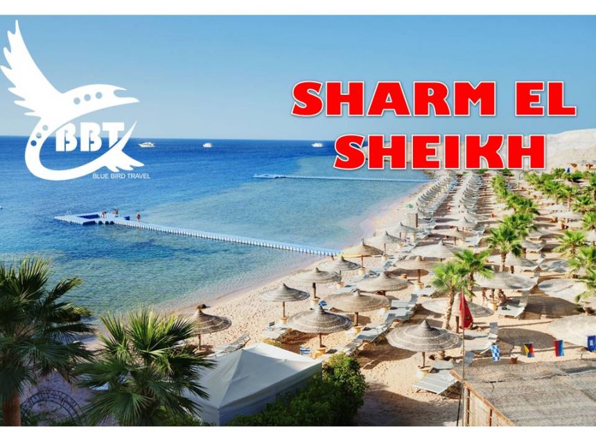 სპეციალური ფასები შარმ ელ შეიხში! იჩქარეთ!