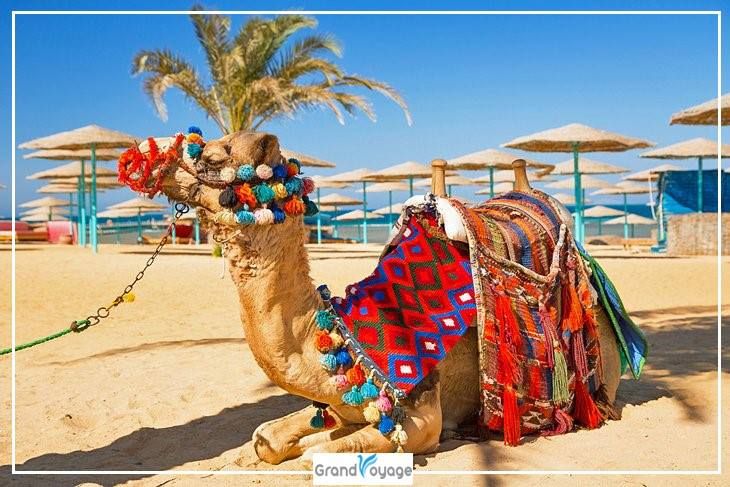 ჰურგადა/ეგვიპტე !