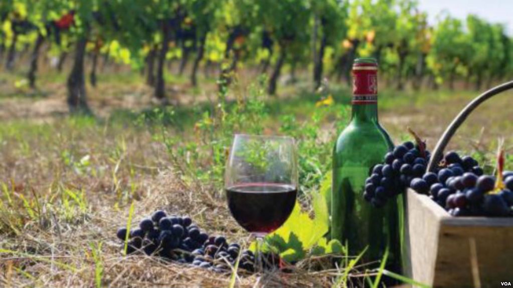 ღვინის ტურები