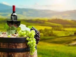 Grape Season in Kakheti