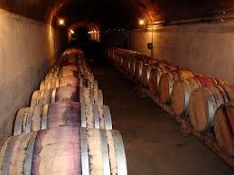 Сезон винограда в Кахети