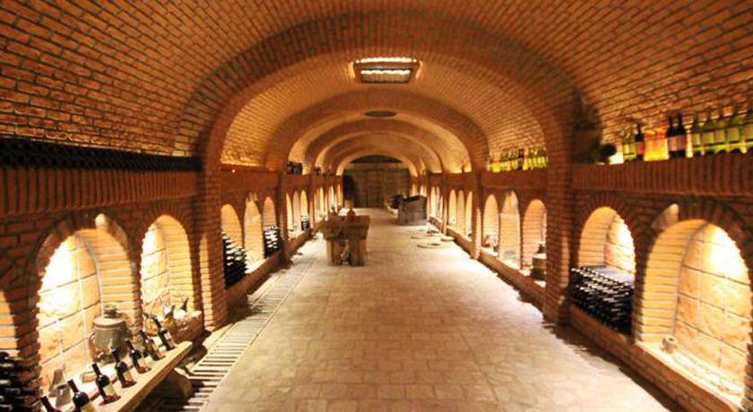 Сезон винограда в Кахети