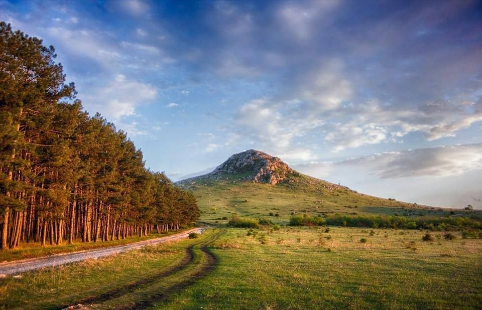 ბოდბე, ელიას მთა, არწივის ხეობა - ZooM